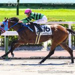 次走の狙い馬（6月26・27日） 栗東組