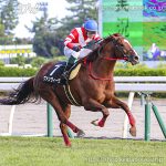 次走の狙い馬（8月3日 美浦組）