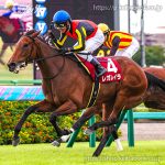 第71回 オールカマー 回顧