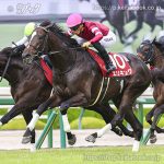 第73回神戸新聞杯 回顧