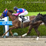 次走の狙い馬(10月18日・19日 美浦組)