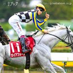 第28回 富士S 回顧