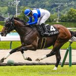 次走の狙い馬（10月12日・13日  美浦組）