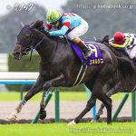 第86回菊花賞 回顧