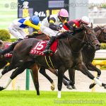 第1回 アイルランドT 回顧