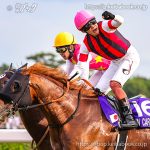 第59回 スプリンターズＳ 回顧