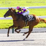 次走の狙い馬(10月25・26日 栗東組)