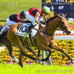 次走の狙い馬(10月4日・5日 美浦組)