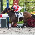 次走の狙い馬（10月18・19日 栗東組）