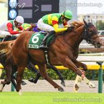 第11回 サウジアラビアRC 回顧