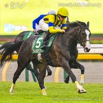 第14回 アルテミスS 回顧