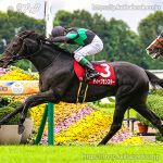 第60回京都大賞典 回顧