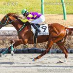 次走の狙い馬(10月25日・26日 美浦組)