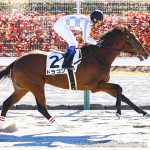 次走の狙い馬(10月4・5日 栗東組)