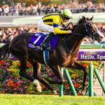 第172回 天皇賞(秋)回顧