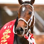 第15回みやこS 回顧