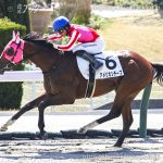 次走の狙い馬（11月1・2日 栗東組）