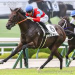 次走の狙い馬(11月15日 栗東組)