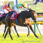 第30回 東京スポーツ杯２歳Ｓ 回顧