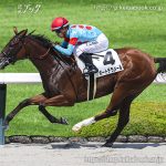 次走の狙い馬（11月8・9日 栗東組）