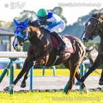 第60回デイリー杯２歳Ｓ 回顧