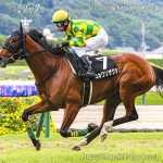 次走の狙い馬(11月15日・16日 美浦組)