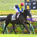 次走の狙い馬(11月8日・9日 美浦組)