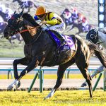 第42回マイルチャンピオンシップ回顧