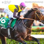 第30回 武蔵野Ｓ 回顧