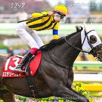 第63回 アルゼンチン共和国杯 回顧