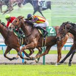 第30回ファンタジーS 回顧