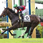 次走の狙い馬（11月22日・23日・24日 美浦組）