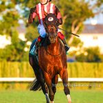 第70回京阪杯 回顧