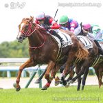 次走の狙い馬（11月1日・2日 美浦組）