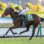 第61回 福島記念 回顧