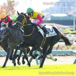 次走の狙い馬（12月13日・14日 美浦組）