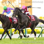 第20回阪神カップ 回顧