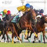 第61回中日新聞杯 回顧