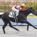 次走の狙い馬(12月6・7日 栗東組)