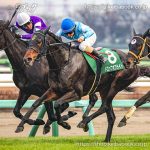 第11回 ターコイズＳ 回顧