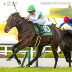 第78回鳴尾記念 回顧