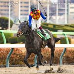 第18回 カペラＳ 回顧