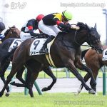 次走の狙い馬（12月21日 栗東組）