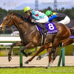 第77回朝日杯FS回顧