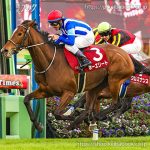 第59回 ステイヤーズＳ 回顧