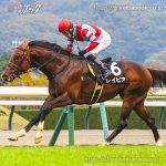 次走の狙い馬（11月29・30日 美浦組）