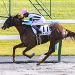 次走の狙い馬（11月29・30日 栗東組）