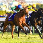 第45回 ジャパンカップ 回顧