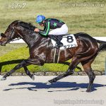 次走の狙い馬(12月13・14日 栗東組)