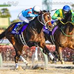 第26回チャンピオンズC 回顧